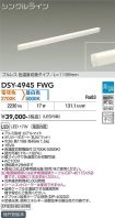 DSY-4945FWG