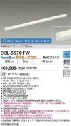 DBL-5570FW