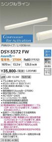 DSY-5572FW