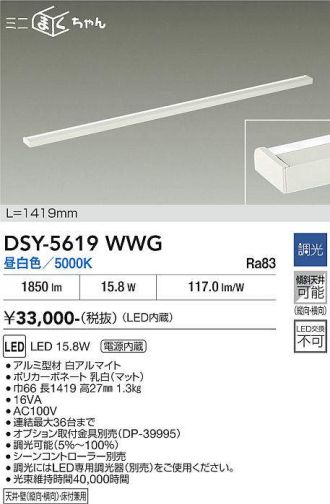 DSY-5619WWG