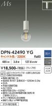 DPN-42490YG