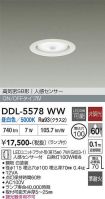 DDL-5578WW