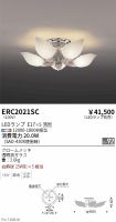 ERC2021SC