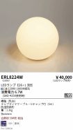 ERL8224W