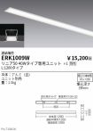 ERK1009W