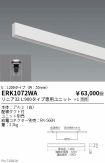 ERK1072WA