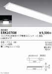 ERK1076W