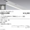 ERK1118W