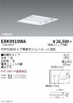 ERK9910WA