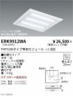 ERK9912WA