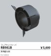RB981B