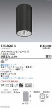 EFG5681B