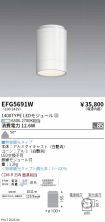 EFG5691W