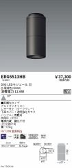 ERG5513HB