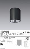 ERG5619B