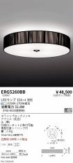 ERG5260BB