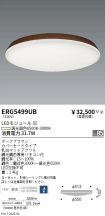 ERG5499UB