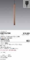 ERP7517DB