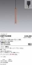 ERP7519DB