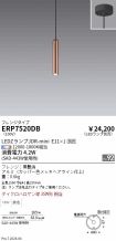 ERP7520DB