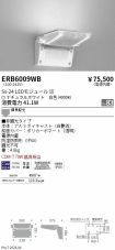 ERB6009WB