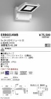 ERB6014WB