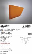 XRB1069T