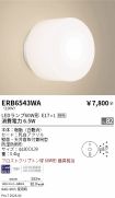 ERB6543WA
