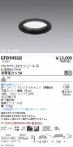 EFD9081B