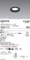 ERD9503B