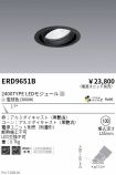 ERD9651B