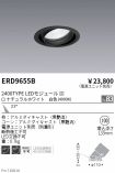 ERD9655B