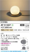 AT51307