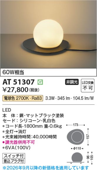 AT51307