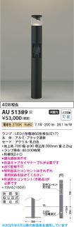 AU51389