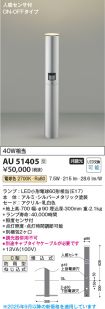 AU51405