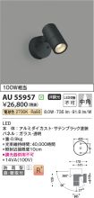 AU55957