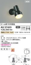 AU57435