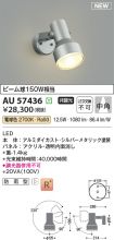 AU57436