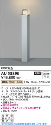 AU53898