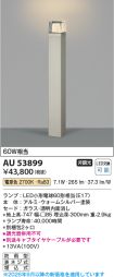 AU53899