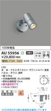 AU55956