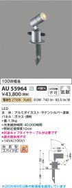 AU55964