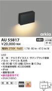 AU55817