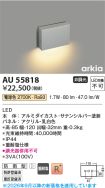 AU55818