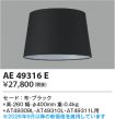 AE49316E