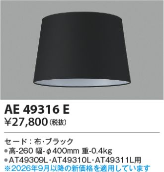 AE49316E
