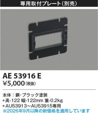 AE53916E