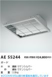 AE55244