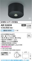 KAR52839